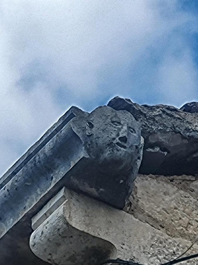Nerezisca Fortuna מראה חיצוני תמונה
