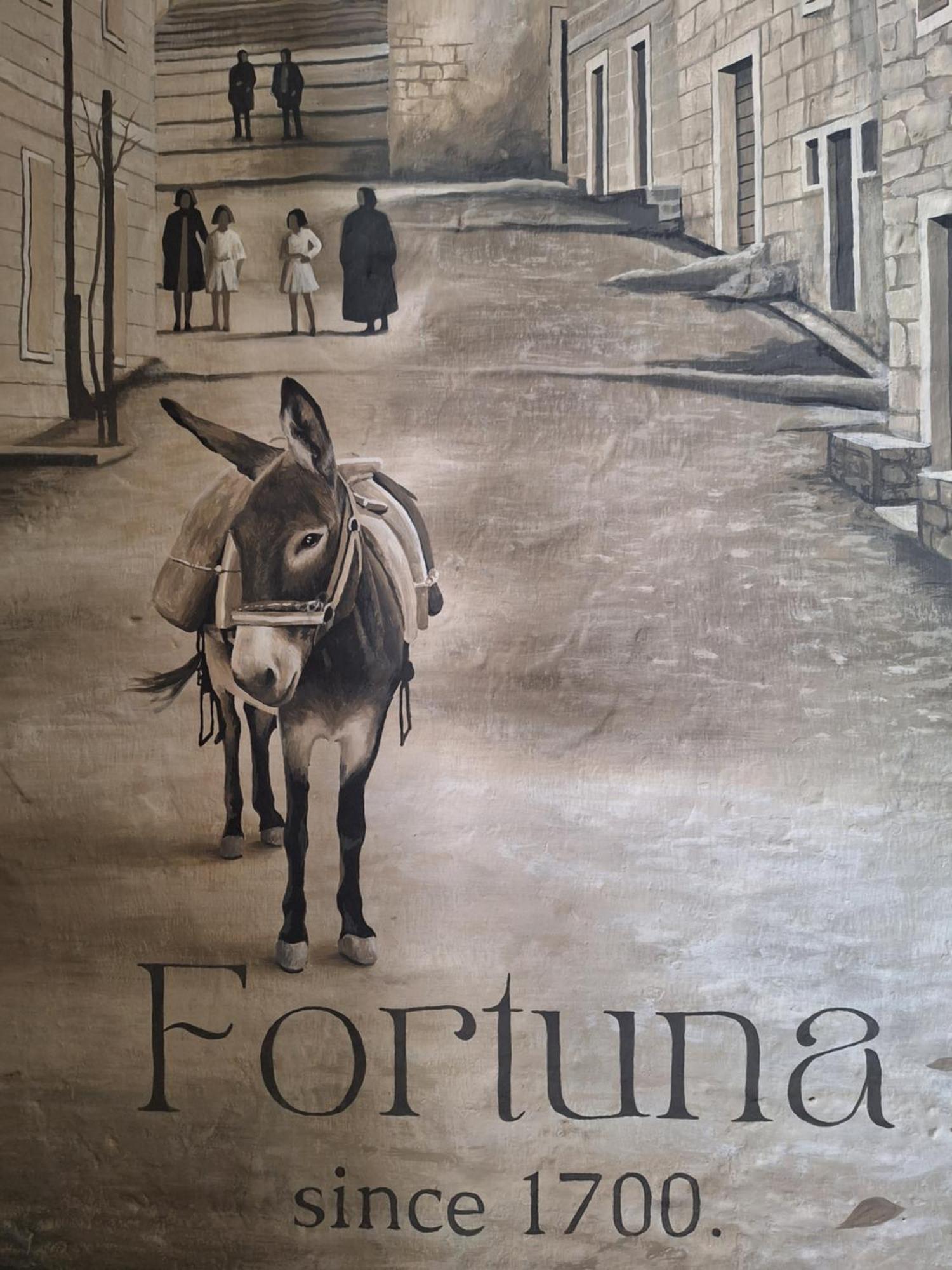 Nerezisca Fortuna מראה חיצוני תמונה